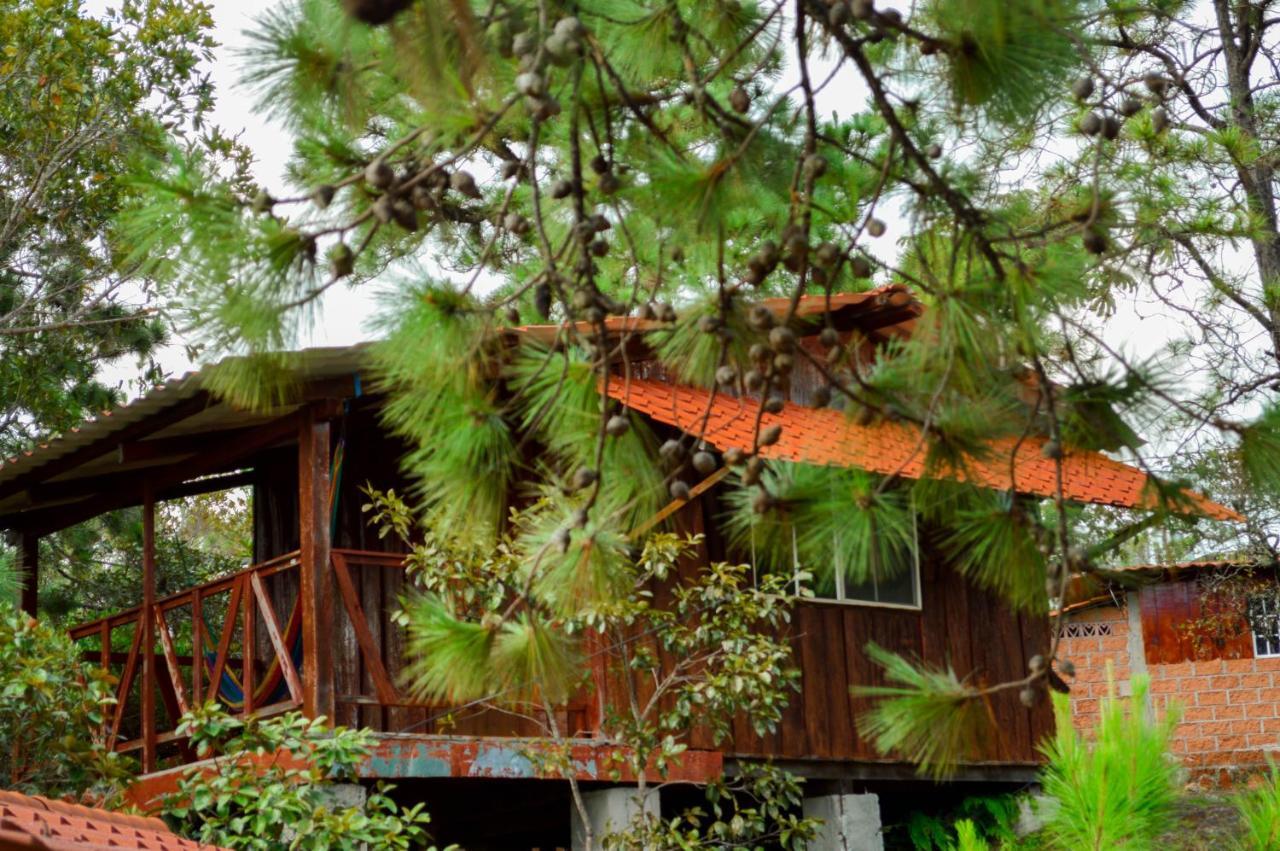 Hotel Y Restaurante Las Margaritas Perquín Exterior foto